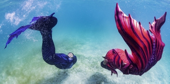 It's International Mermaid Day! Become A Mermaid With Blue Planet
