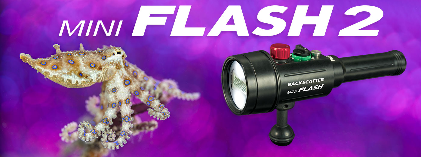 Mini-Flash-2-Review-Banner-V1.jpg