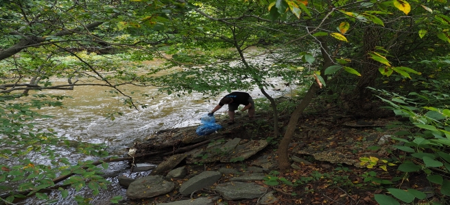 Rock Creek Socially-distant Cleanup, March 16 - May 15