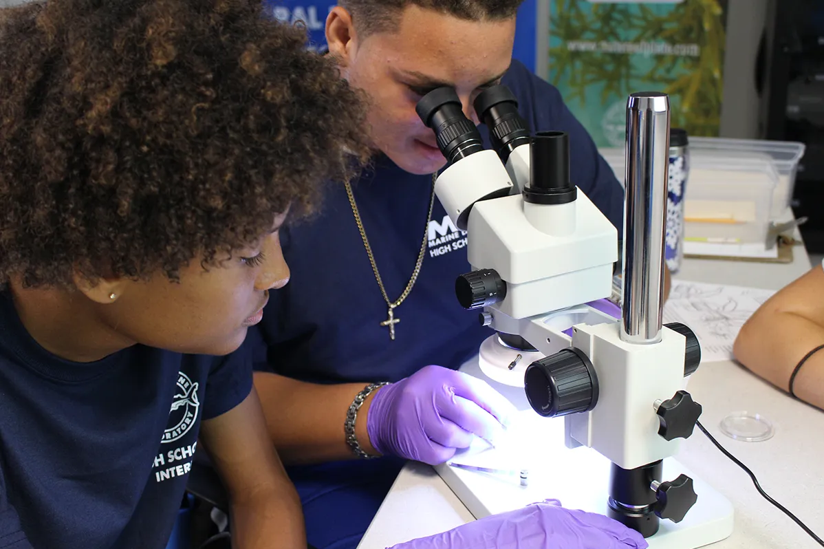 Students look through a microscope