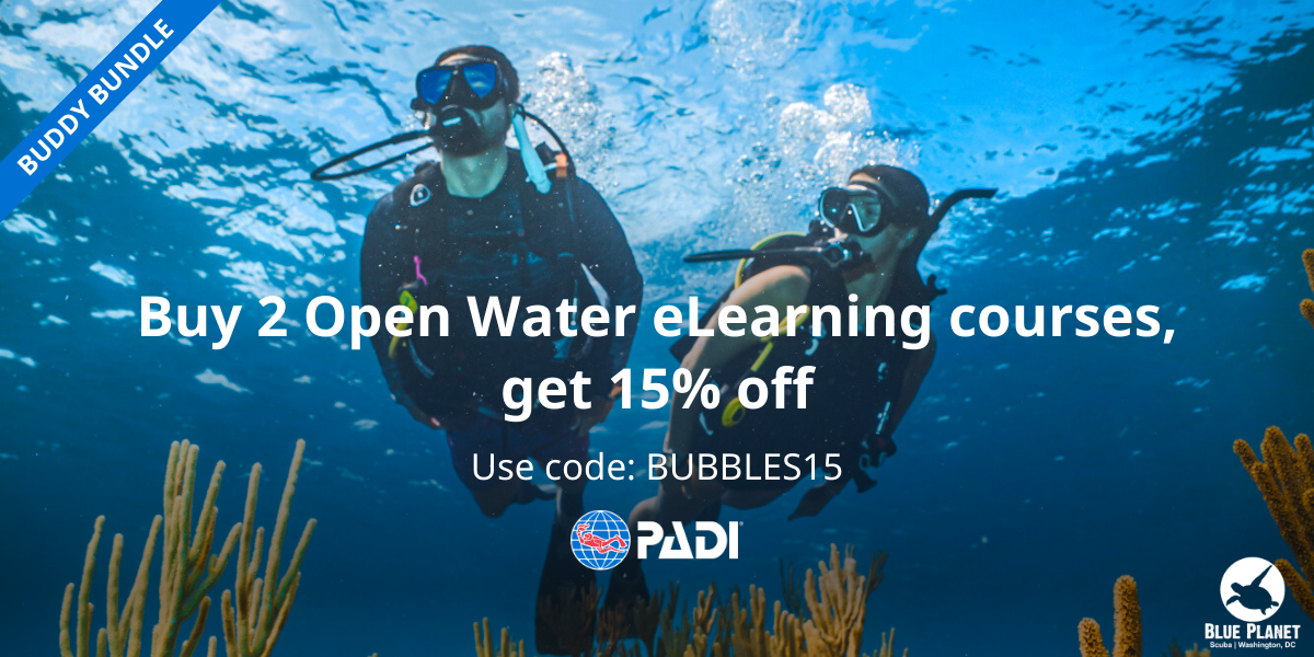 Buy 2 PADI Open Water Diver eLearning courses, get 15% off